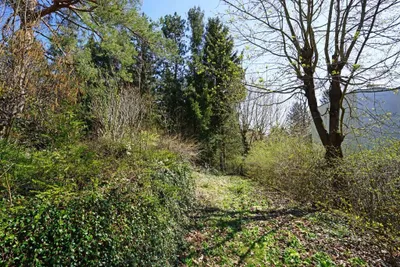 Immobilie kaufen in Wien – 757 m², € 990.000 – Bild 10 von 11