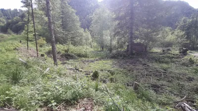 Grundstück kaufen in Klagenfurt Land – 10 700 m², € 129.000 – Bild 3 von 4