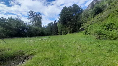 Grundstück kaufen in Klagenfurt Land – 10 700 m², € 129.000 – Bild 1 von 4