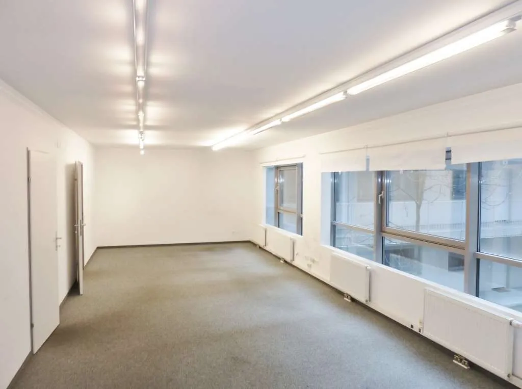 Attraktive Gewerbefläche mit Gemeinschaftsterrasse in der Wienerberg City! – pohled 3