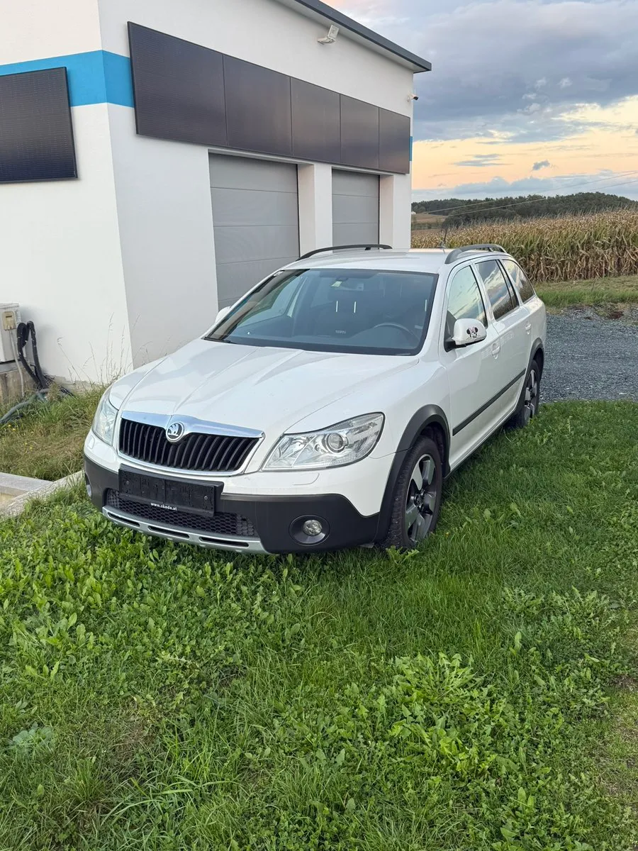 Skoda Octavia Scout mit VRS Sitze Kombi / Family Van, 2011, 265.000 km ...