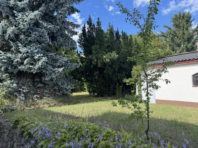 4-Zimmer-Haus mieten in Neunkirchen – 124 m², € 1.595 – Bild 10 von 39