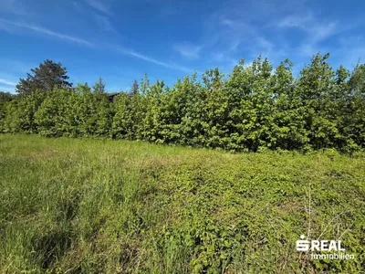 Grundstück kaufen in Wels-Land – 1 002 m², € 295.000 – Bild 4 von 4