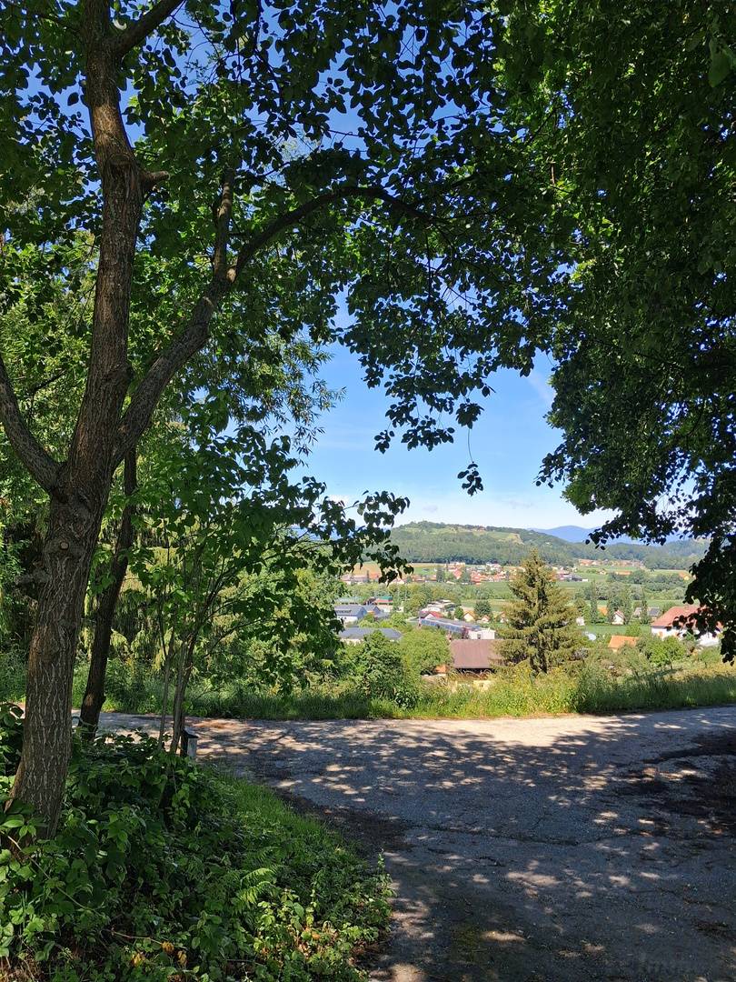 Großklein: Entzückendes Kellerstöckl eigebettet in der Natur! Absolute Ruhe-Lage! - Ansicht 3