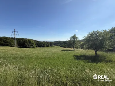 Grundstück kaufen in Freistadt – 145 214 m², € 340.000 – Bild 3 von 4
