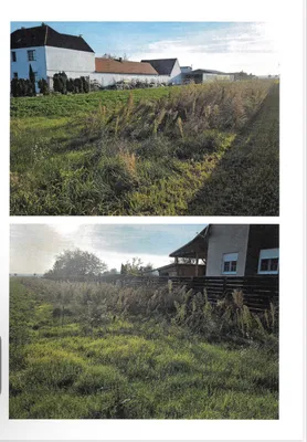 Grundstück mieten in Eisenstadt - Umgebung – 670 m² – Bild 1 von 2