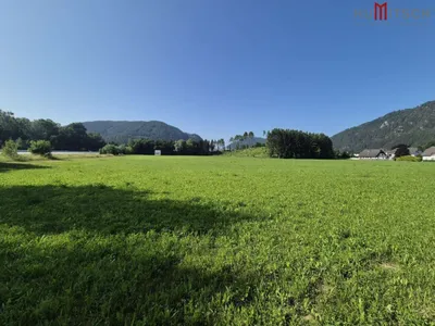 Gewerbeimmobilie mieten in Graz-Umgebung – 10 000 m² – Bild 2 von 2