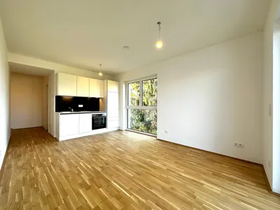 1-Zimmer-Wohnung mieten in Graz – 29,16 m², € 539