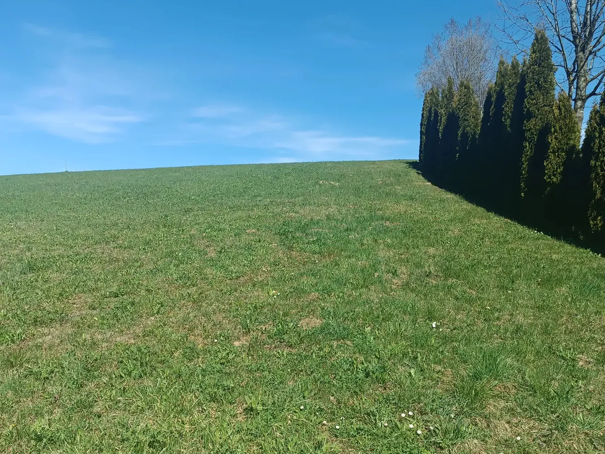 Baugrund ohne Bauzwang, frei wählbare Größe - Gebirgsblick & Atterseenähe, Witzling