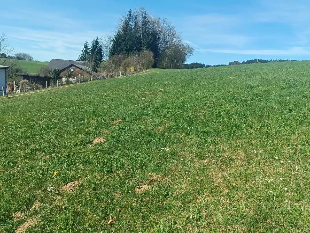 Baugrund ohne Bauzwang, frei wählbare Größe - Gebirgsblick & Atterseenähe - Ansicht 2
