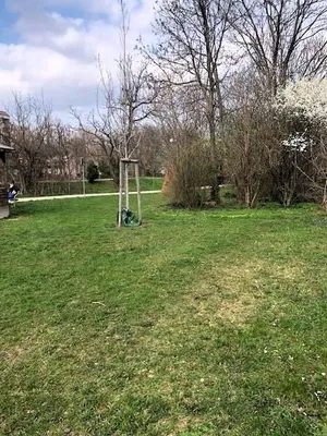 4-Zimmer-Wohnung mieten in Wien – 95 m², € 1.235 – Bild 13 von 15