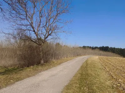 Grundstück kaufen in Oberwart – 14 583 m², € 29.000 – Bild 4 von 5