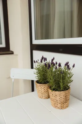 2-Zimmer-Wohnung mieten in Salzburg-Umgebung – 55 m², € 1.730 – Bild 26 von 31