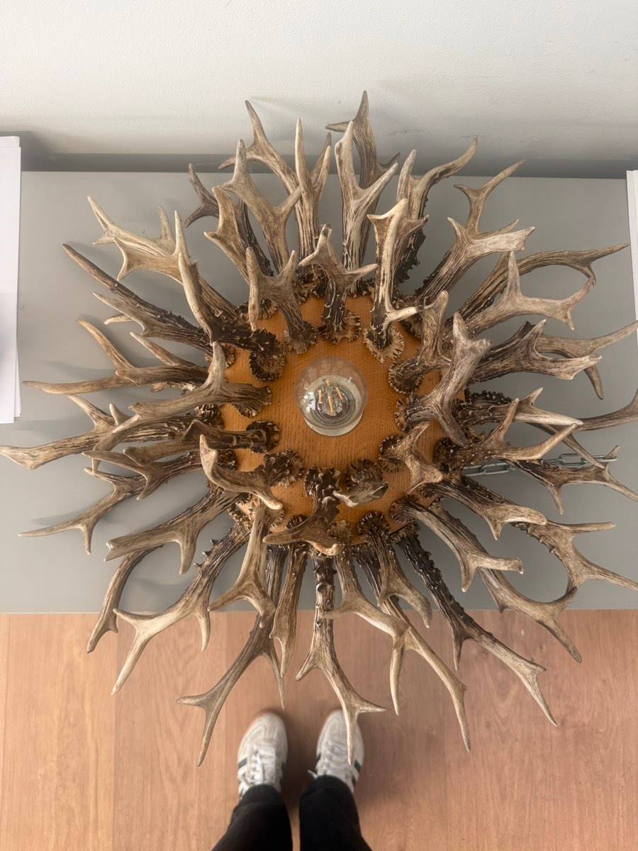 Hirschgeweih Lampe