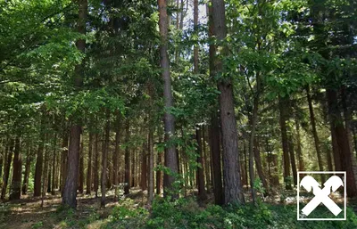 Grundstück kaufen in Oberwart – 18 814 m²