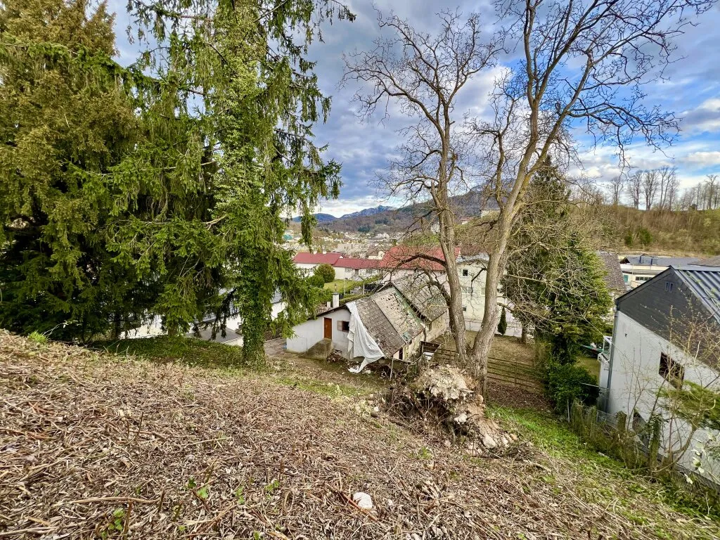 Traunseenähe & Bestlage: Baugrundstück mit vielseitigen Möglichkeiten - Visning 3