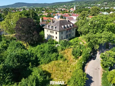 Gewerbeimmobilie kaufen in Baden – 4 036 m², € 1.850.000 – Bild 3 von 5