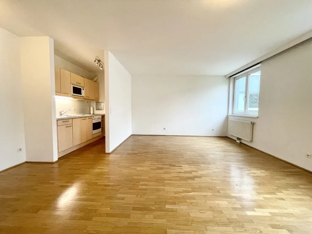 RUHIGER 1-ZIMMER-NEUBAU NAHE HANUSCH KRANKENHAUS, Wien