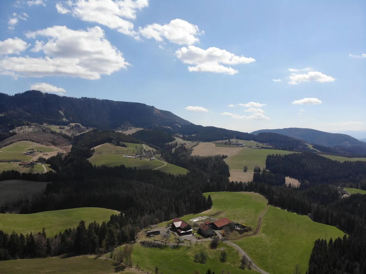 Sonniges Baugrundstück in ruhiger Lage nahe Graz - Ansicht 3