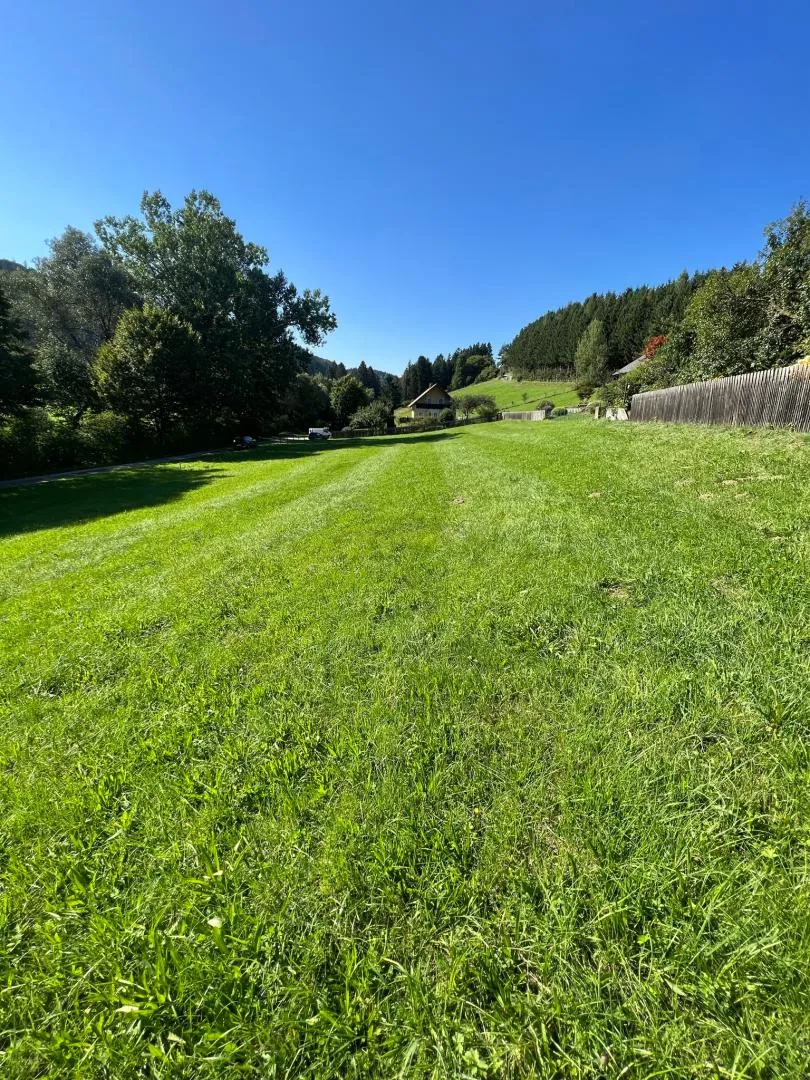 Sonniges Baugrundstück in ruhiger Lage nahe Graz - Ansicht 2