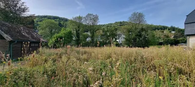 Grundstück zum Kauf in 3400 Tulln