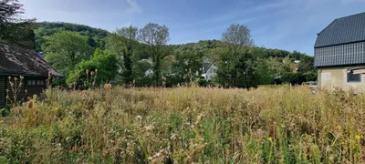 Grundstück kaufen in Tulln – 1 307 m², € 990.000 – Bild 2 von 5