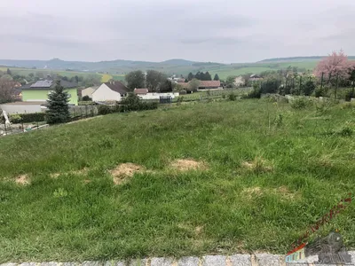 Grundstück zum Kauf in 2161 Mistelbach