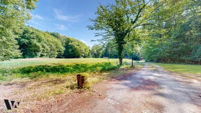 6-Zimmer-Haus kaufen in Sankt Pölten Land – 310 m², € 3.599.000 – Bild 3 von 43