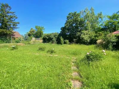 4-Zimmer-Immobilie kaufen in Mistelbach – 198 m², € 790.000 – Bild 25 von 37