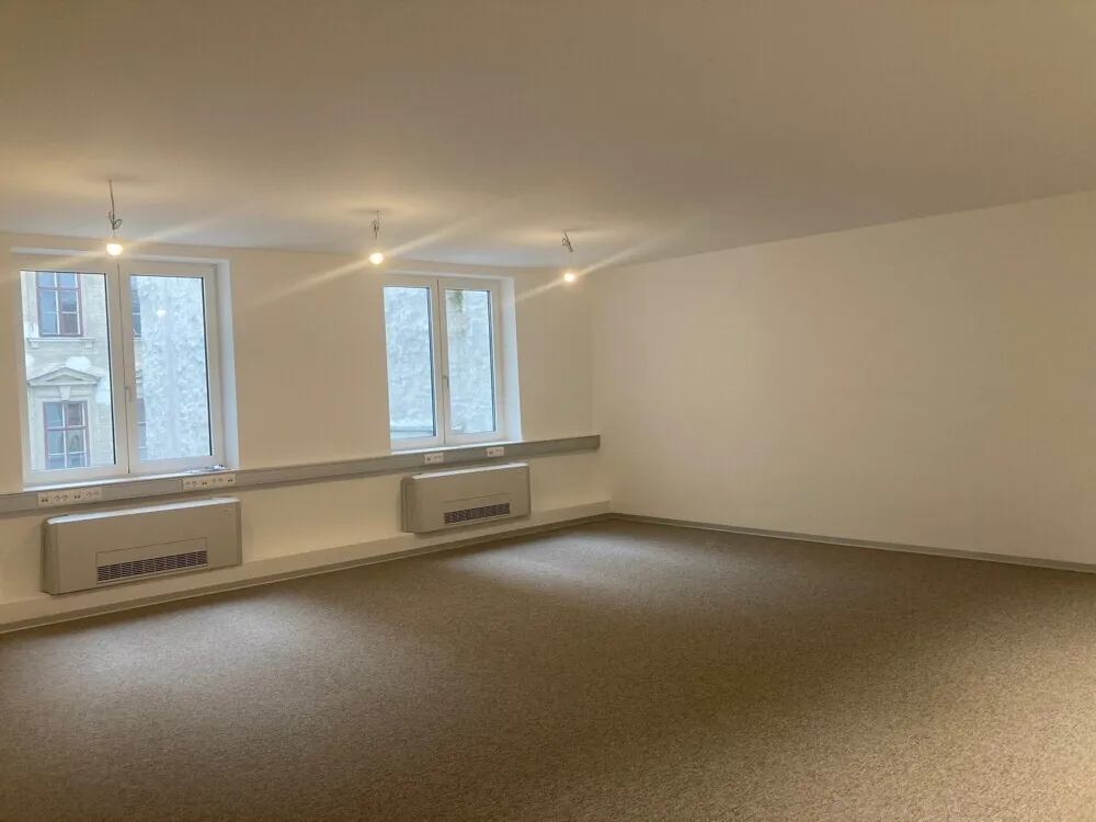1010, Lugeck Repräsentatives Innenstadtbüro - Ansicht 3