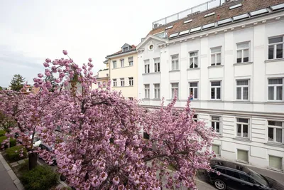 2-Zimmer-Wohnung kaufen in Wien – 52,52 m², € 398.000 – Bild 11 von 11