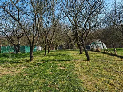 1-Zimmer-Immobilie kaufen in Österreich – 38 m², € 25.300 – Bild 9 von 13