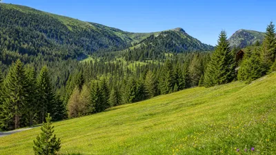 Grundstück kaufen in Feldkirchen – 5 631 m², € 1.100.000 – Bild 9 von 13