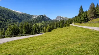 Grundstück kaufen in Feldkirchen – 5 631 m², € 1.100.000 – Bild 8 von 13