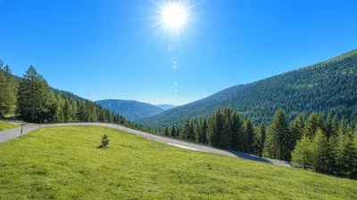 Grundstück kaufen in Feldkirchen – 5 631 m², € 1.100.000 – Bild 10 von 13