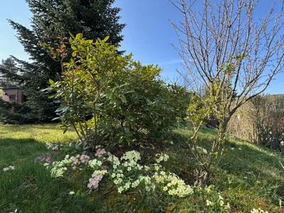 Wohnung kaufen in Mattersburg – 56 m², € 38.000 – Bild 6 von 21