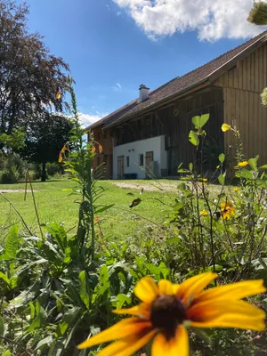 Haus kaufen in Braunau am Inn – 275 m², € 1.290.000 – Bild 11 von 87