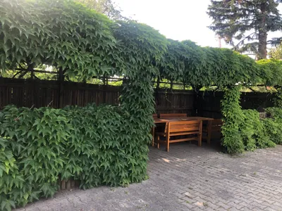 3-Zimmer-Wohnung mieten in Wien – 72 m², € 1.195 – Bild 18 von 20
