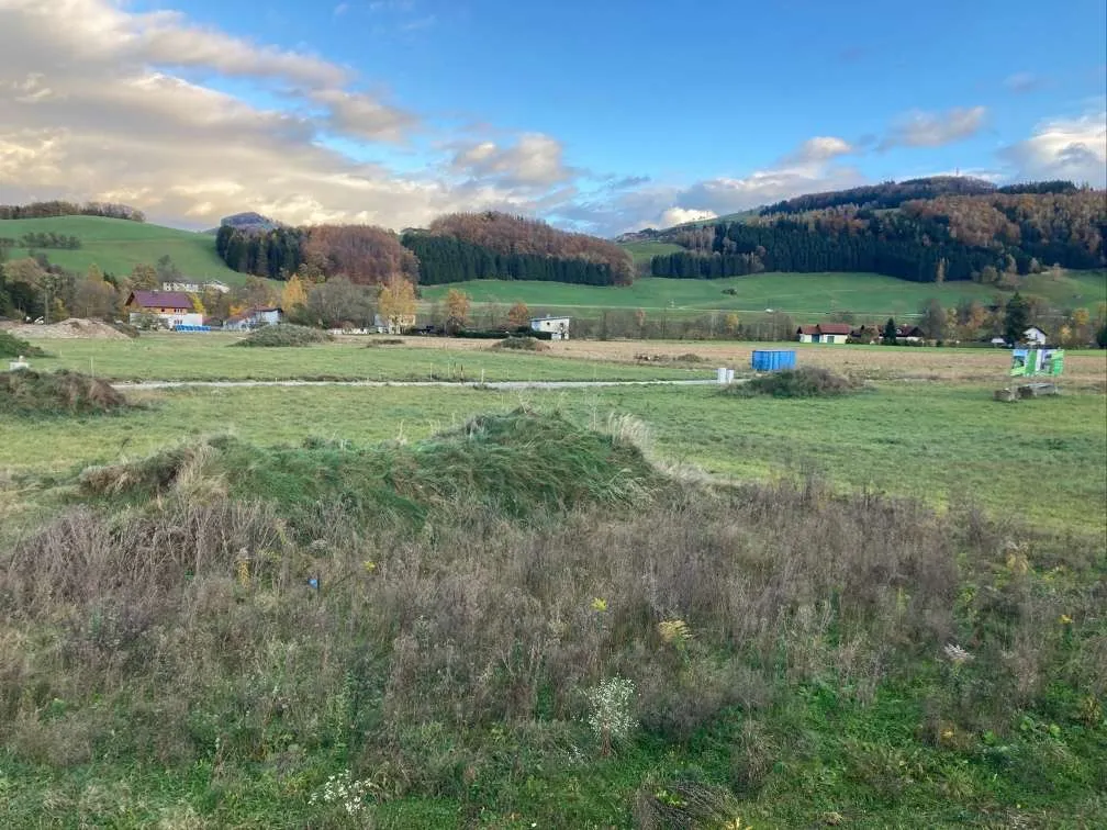 Baugrund, 8 Baugrundstücke in Ternberg/ Dürnbach verfügbar - Ansicht 3
