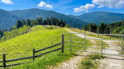 Grundstück kaufen in Feldkirchen – 519 325 m² – Bild 7 von 11