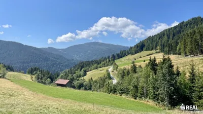 Grundstück kaufen in Feldkirchen – 519 325 m² – Bild 8 von 11