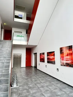 Gewerbeimmobilie kaufen in Dornbirn – 207 m² – Bild 3 von 9