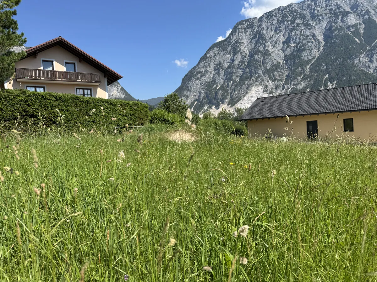 Grundstück mit genehmigtem Bauvorhaben in Gröbming/Winkl - Wohnen oder touristisch vermieten - Ansicht 3