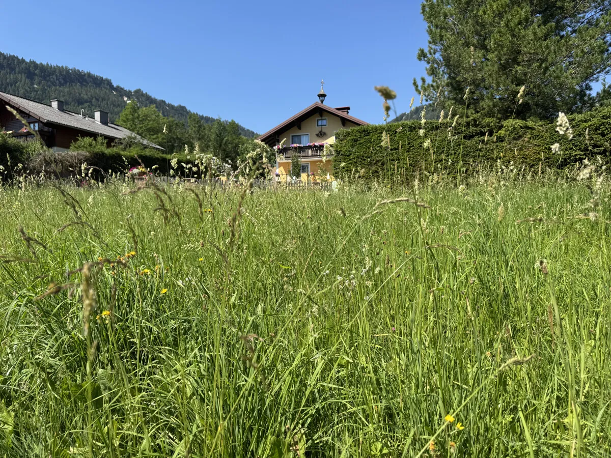 Grundstück mit genehmigtem Bauvorhaben in Gröbming/Winkl - Wohnen oder touristisch vermieten - Ansicht 2