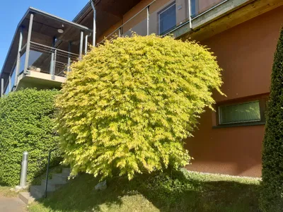 3-Zimmer-Wohnung kaufen in Graz-Umgebung – 75 m², € 370.000 – Bild 18 von 98