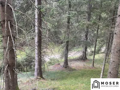 Immobilie kaufen in Murau – Bild 8 von 39