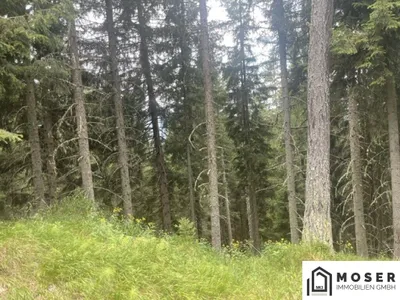 Immobilie kaufen in Murau – Bild 1 von 39