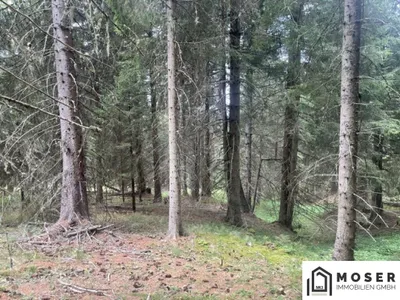 Immobilie kaufen in Murau – Bild 13 von 39