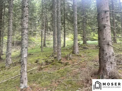 Immobilie kaufen in Murau – Bild 30 von 39
