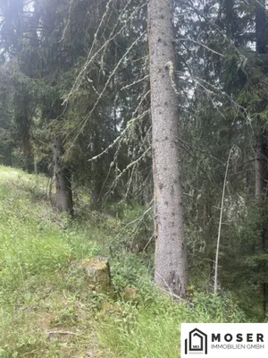 Immobilie kaufen in Murau – Bild 21 von 39